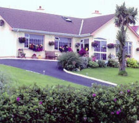 The Yellow Rose B&B Belderg Zewnętrze zdjęcie