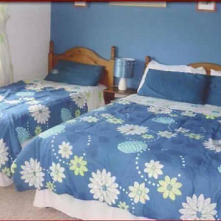 The Yellow Rose B&B Belderg Zewnętrze zdjęcie