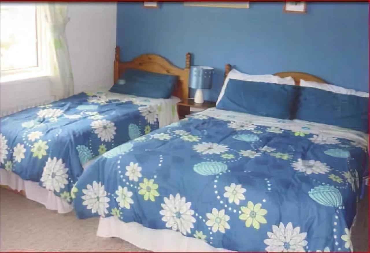 The Yellow Rose B&B Belderg Zewnętrze zdjęcie